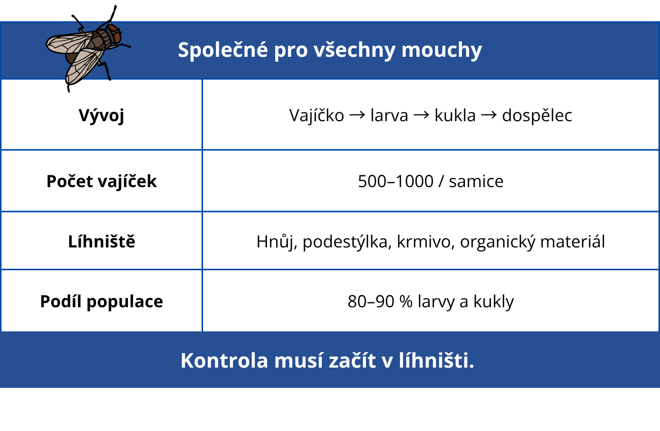Mouchy - společné (1)